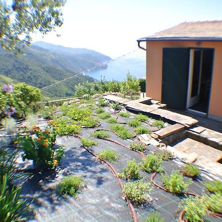 Walk And Relax Retreat - Homy 5 Terre Villa San Bernardino Exterior foto
